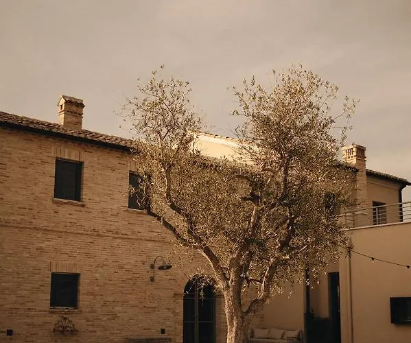 Bed & Breakfast Casale Tre Gelsi Cingoli